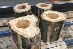 Robot hollowed logs